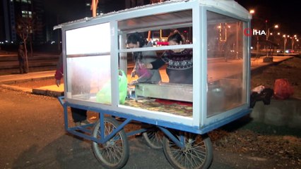 Gündüz Ev Kadını, Gece İş Kadını