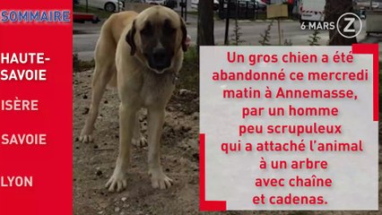 Zapping de l'Info du 6 Mars 2019