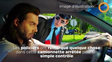 La police découvre un demi-million en cash dans une camionnette lors d'un simple contrôle routier !