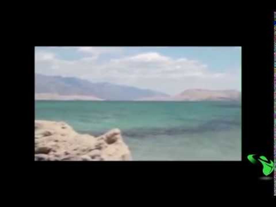 مفاجأة مرعبة ظهور حورية البحر حقيقية Amazing Mermaid On The Rock sirena real