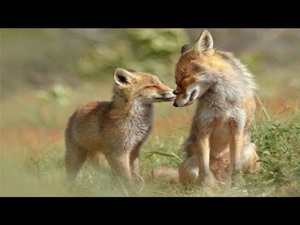 ما اروع هذا الجمال الطبيعي والمناظر الخلابة