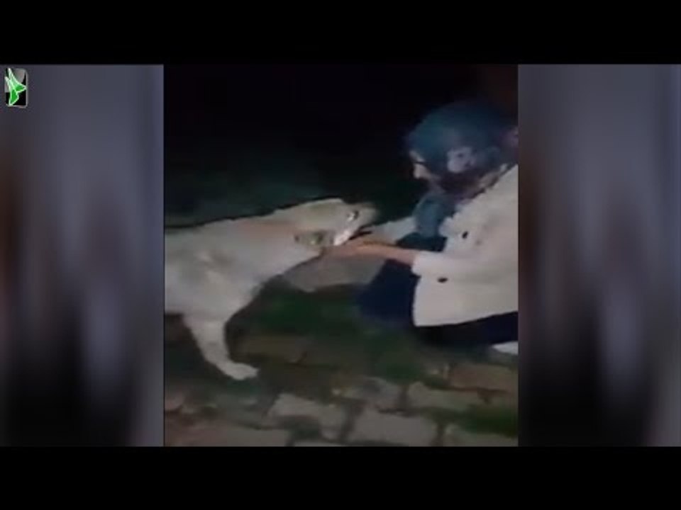 هل اصبح الكلب اوفى من بعض البشر !  ردة فعل كلب بعد ان سقته فتاة