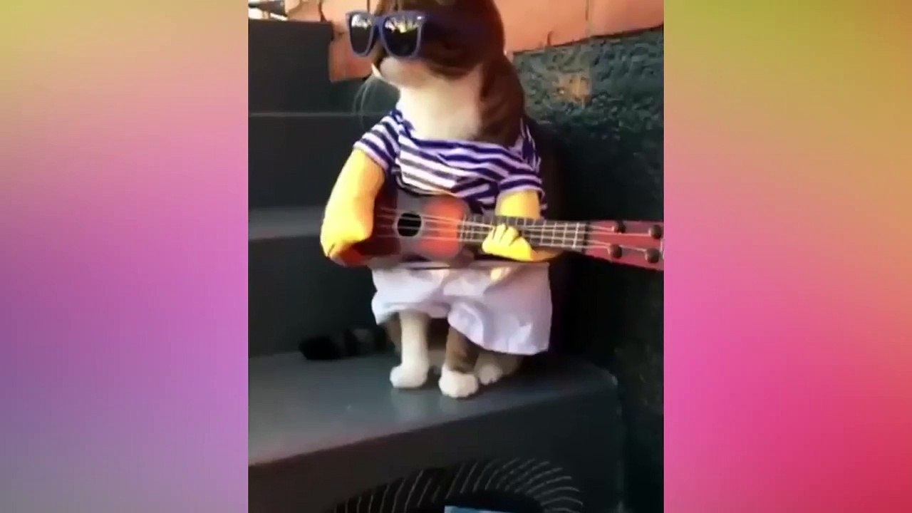 Cat Santana