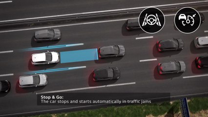 2019 All-New Renault CLIO - Highway & Traffic Jam Companion