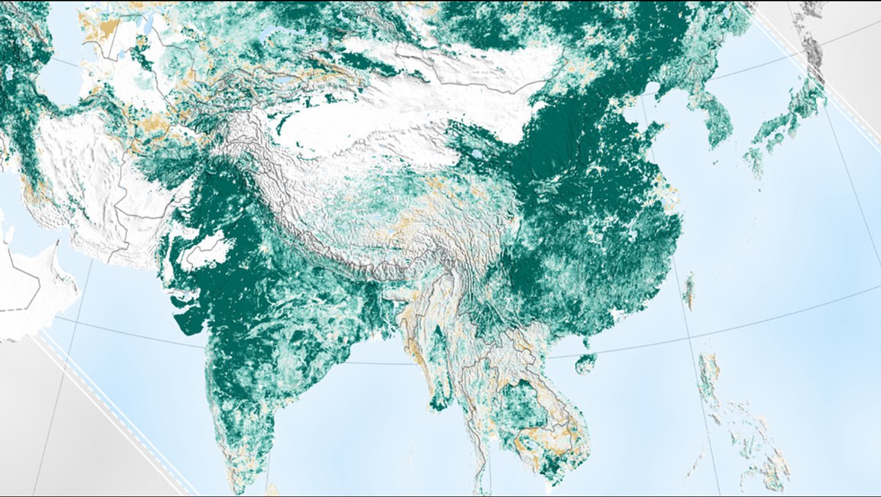 Earth is Greener Than 20 Years Ago