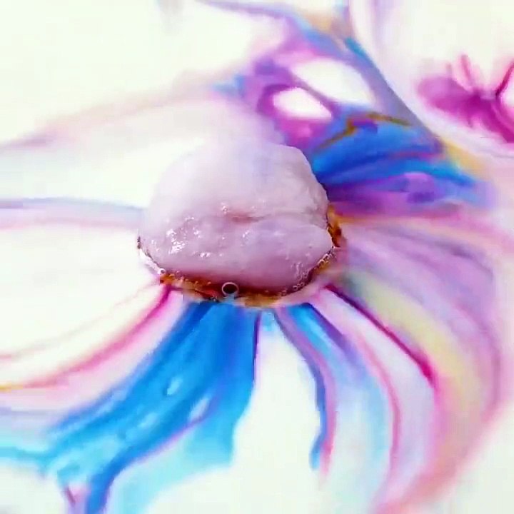 Manual arte