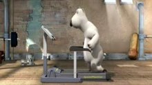Funny Bear