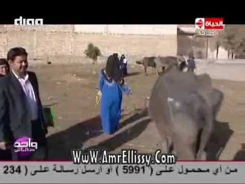 #واحد من الناس | توزيع 50 راس ماشية في بني سويف | مع د.عمرو الليثي