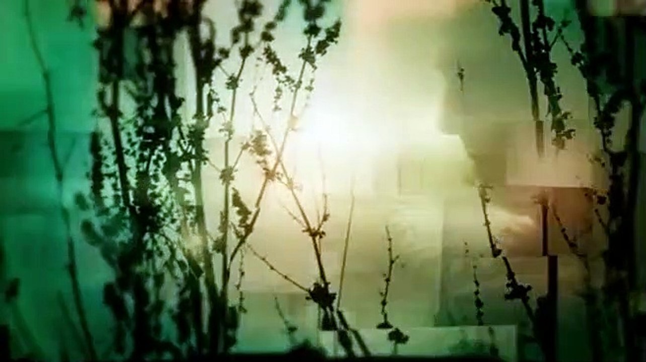 Dci Banks S02 E06