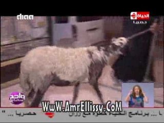 #واحد من الناس | 4 مشروعات صغيرة | مع د.عمرو الليثي