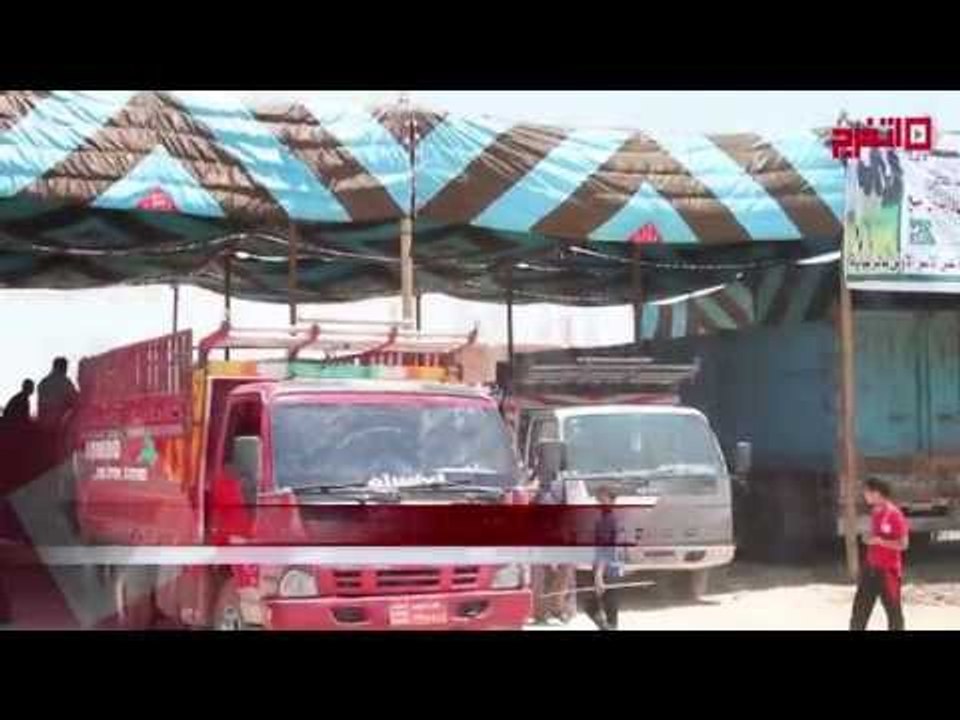 رئاسة الجمهورية توزع ١٠ ألاف رأس ماشية علي الأس...
