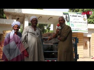 محافظ الأقصر يشهد توزيع الأورمان رؤوس الماشية بقرية الشغب