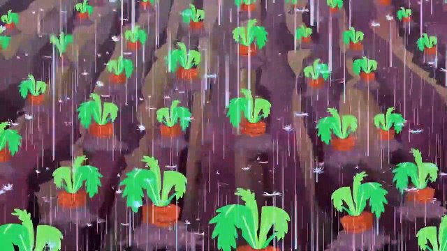 Tik Tak Tail | Ferme de carottes | Drôle Cartoon Compilation Enfants | WildBrain