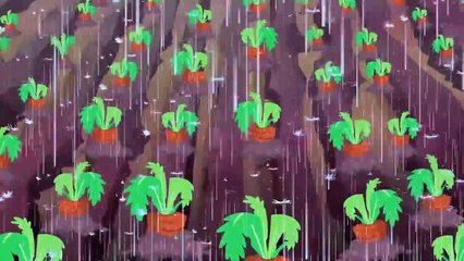 Tik Tak Tail | Ferme de carottes | Drôle Cartoon Compilation Enfants | WildBrain