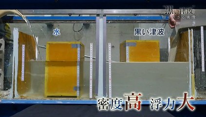 黒い津波知られざる実像20190303
