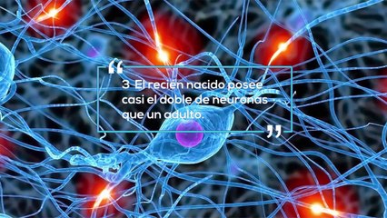 23 Sorprendentes Curiosidades sobre el Cerebro Humano