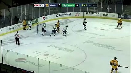 ECHL Norfolk Admirals 1 at Maine Mariners 3