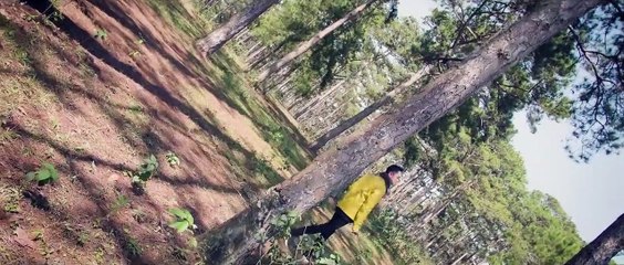 Người Ta Hỏi Anh - Nhật Tinh Anh