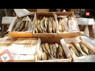 اتفرج | «فسيخ ورنجة وملوحة ».. العشق الممنوع للمصريين