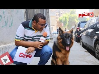 اتفرج | لو عايز تعمل فيديوهات ومفلس أفكار.. خد بالنصيحة دي !