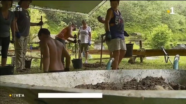 TH : A la rencontre des premiers « volon-touristes » de Tahiti