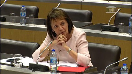 Commission d'enquête sur les moyens des forces de sécurité :  Auditions diverses - Mercredi 6 mars 2019