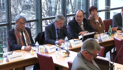 Commission des affaires étrangères : M. Nasser Kamel, Secrétaire général de l’Union pour la Méditerranée - Mercredi 6 mars 2019