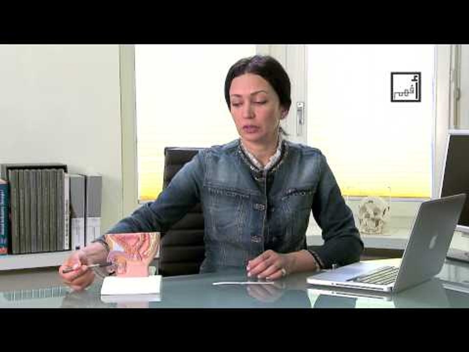 Alyaa Gad - Penis Size حجم القضيب