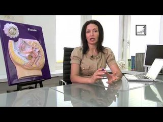 Alyaa Gad - When to See a Gynecologist | أسباب تحتم التوجه لطبيب النساء