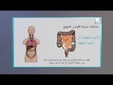 Alyaa Gad - IBS القولون العصبي