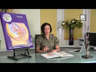 Alyaa Gad - The Hymen غشاء البكارة