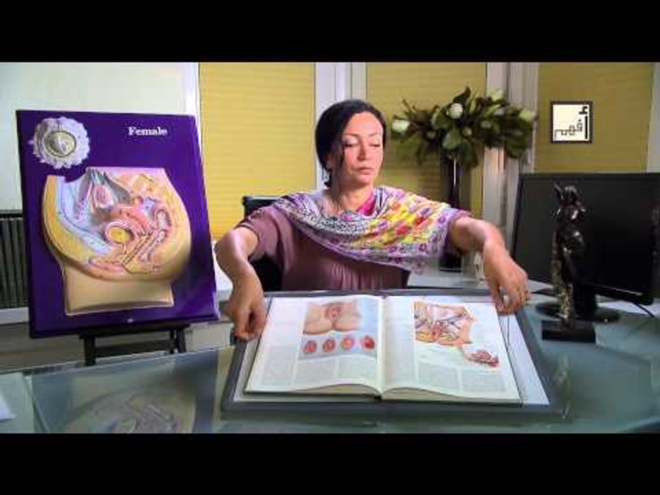 Alyaa Gad - FGM Female Genital Mutilation ختان...