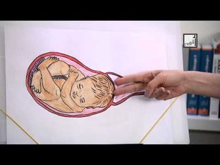 Alyaa Gad - Vaginal Birth مراحل الولادة الطبيعية