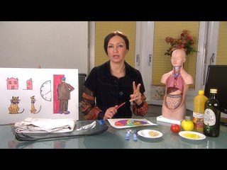 Alyaa Gad - رعاية مريض السكتة الدماغية - Stroke-2
