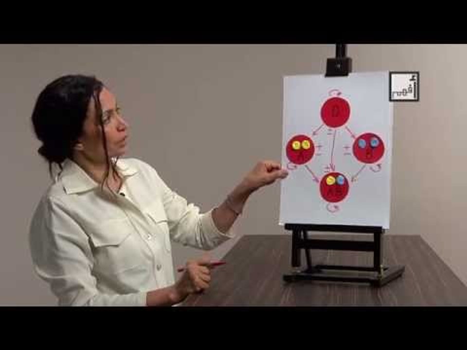 Alyaa Gad - Blood Types