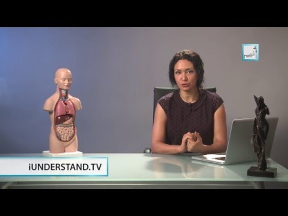 Alyaa Gad - Endocrine Glands