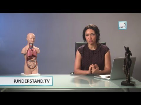 Alyaa Gad - Endocrine Glands