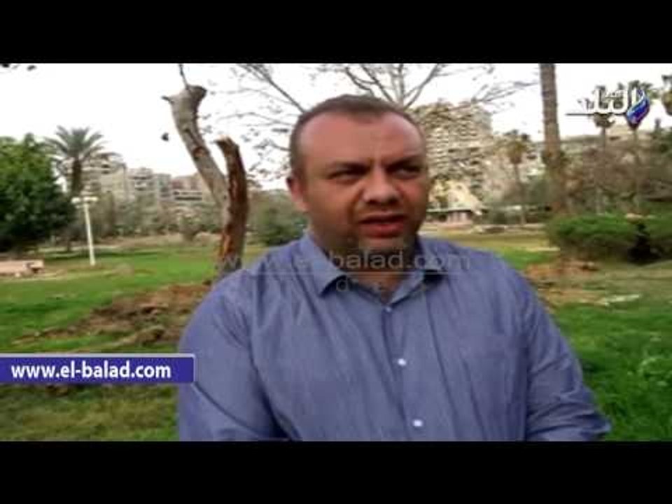أحد سكان مصر الجديدة:اشجار "الميرلاند" يتم قطعها ولا تنقل وننتظر حلول من وزير البيئة