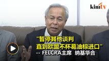 Felcra呼吁政府停止与欧盟谈判其他合约 直到解决棕油输出