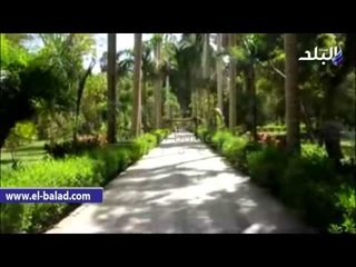 رفع درجة الاستعداد القصوي استعداداً لاحتفالات الربيع بأسوان