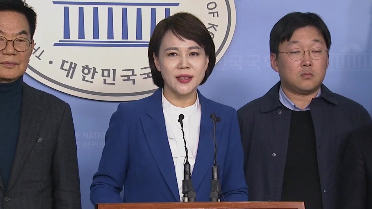 [현장영상] 택시-카풀 사회적 대화 타결...결과 발표 / YTN