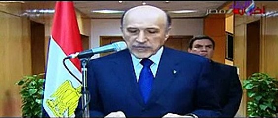 حصاد عام 2011 على قناة صدى البلد