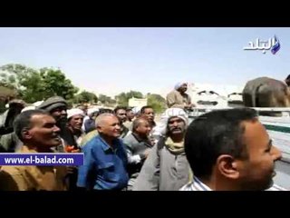 الاورمان توزيع 25 رأس ماشية بجنوب الاقصر