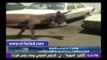 ميناء القاهرة الجوي عن حادث 