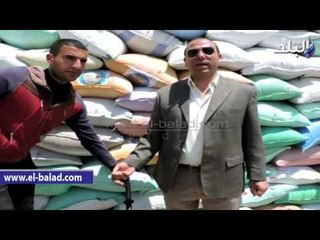 ضبط 115 طن قمح مستورد موردة على انها محلية بدمنهور