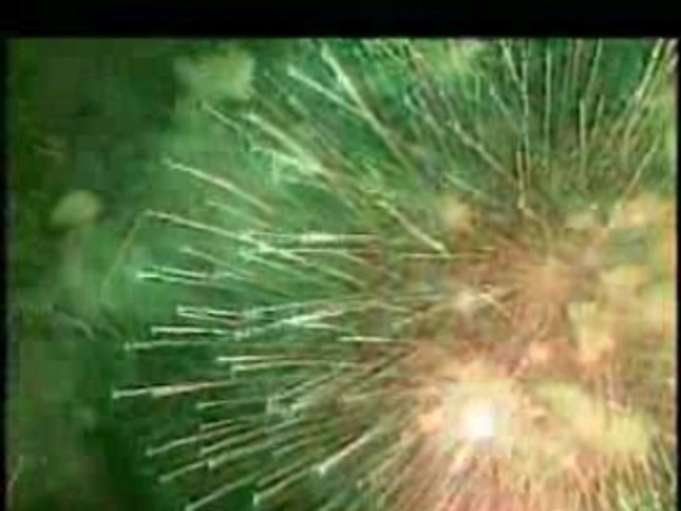 Spectacle Aérien International de Québec 2008 - Familiprix