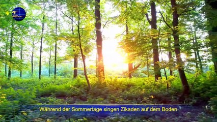 Christliches Lied | Alles lebt innerhalb den von Gott festgelegten Regeln und Gesetzen