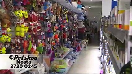 Animal Diaries S07E21