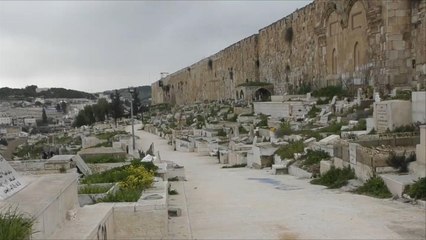 تعرف على أهمية باب الرحمة الذي يريد الاحتلال إغلاقه