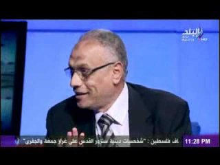 عزام متولى : الجيش والاخوان هم رمانة الميزان فى مصر